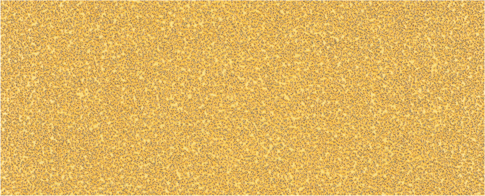 Bosch EXPERT C470 Sandpaper with no holes for Orbital Sanders 93 x 230 mm. G 40 10 pc 2608900840