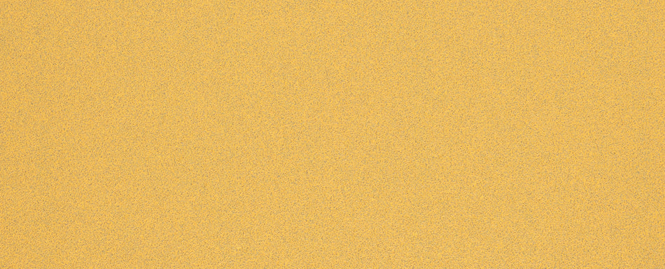 Bosch EXPERT C470 Sandpaper with no holes for Orbital Sanders 93 x 230 mm. G 80 10 pc 2608900842