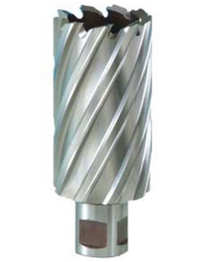 Rotabroach Mag Drill Cutter 30mm Long Series RAPL300 – Campbell Miller ...